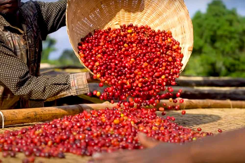 Yirgacheffe, Ethiopia